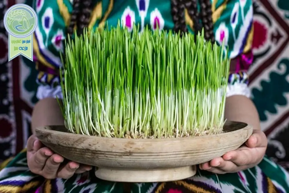نوروز، فراتر از یک جشن بهاری و پیام‌آور صلح و دوستی

