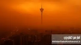 شرمندگی معاون وزیر بهداشت از عملکردها درباره آلودگی هوا؛ ۵۸ هزار مرگ در سال کم نیست