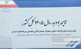 نبرد بر سر نان؛ ۲۰۰ همت اعتبار اضافه شد، اما آیا مسئله حل شد؟