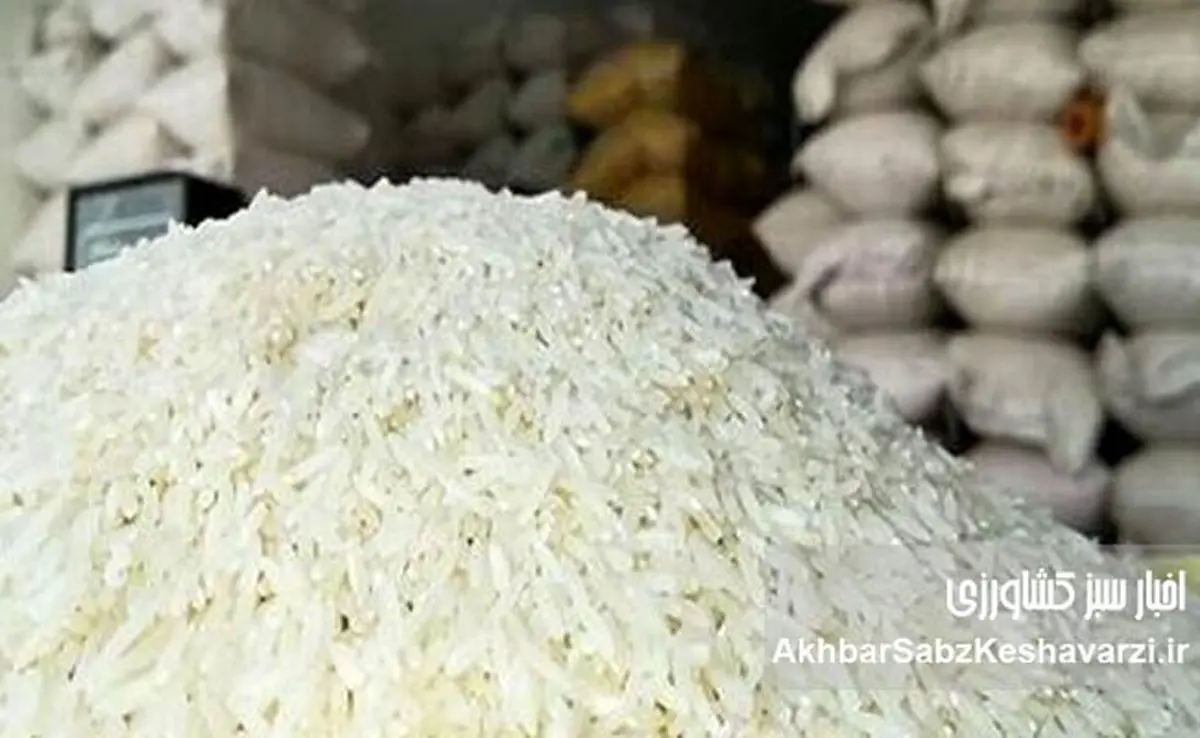  ابررانت برنج؛ امضایی که سفره کشاورزان را خالی کرد