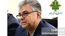 جزئیات اجرای بیمه فراگیر گندم؛ از سهم حق بیمه کشاورزان تا نحوه پرداخت غرامت