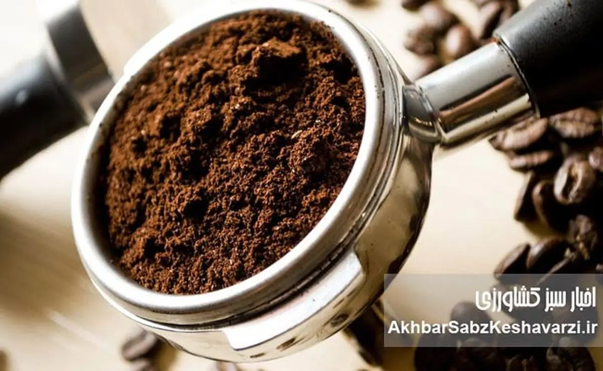 باورهای غلط درباره قهوه: افسانهها را کنار بگذارید و از فنجان قهوهتان لذت ببرید!