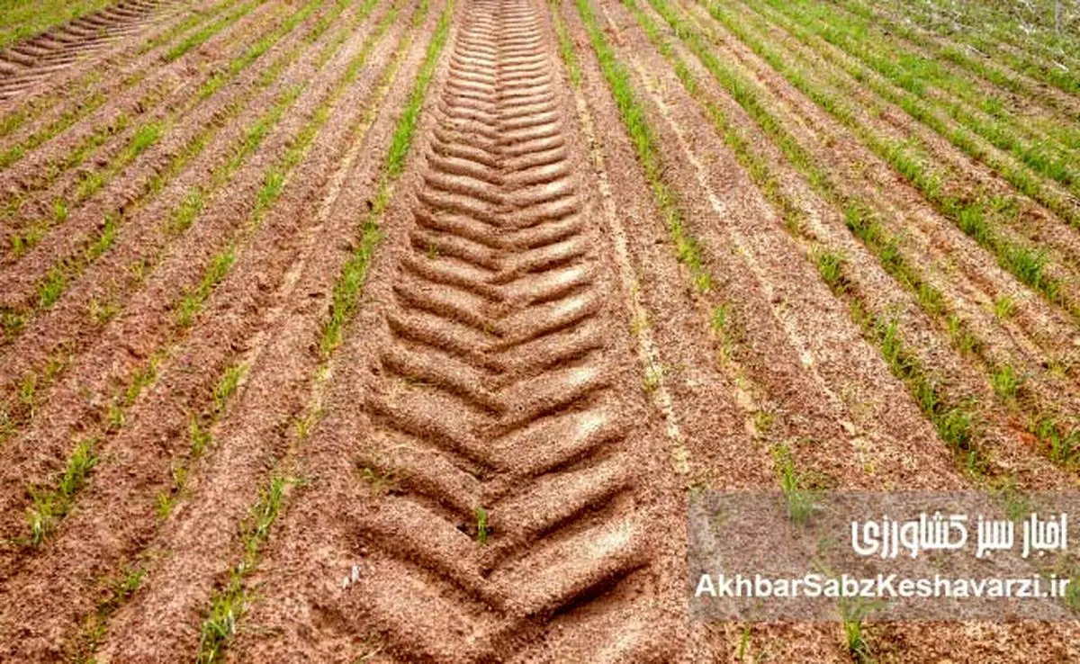 اثرات مخرب کشاورزی صنعتی بر طبیعت