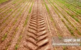 اثرات مخرب کشاورزی صنعتی بر طبیعت