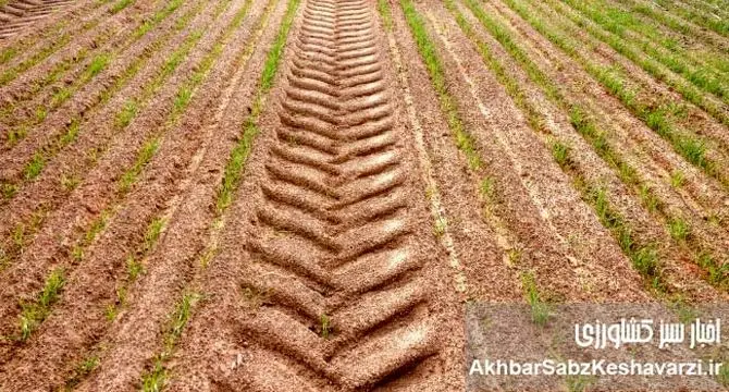 اثرات مخرب کشاورزی صنعتی بر طبیعت