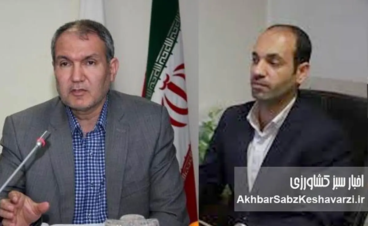 تراز جهانی غذا در سال ۲۰۲۳: از تولید تا مصرف انسانی