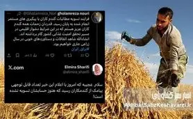 مطالبات گندمکاران واقعاً تسویه شد؟/ تفاوت میان توییت وزیر و صدای گندمکار