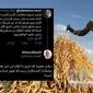 مطالبات گندمکاران واقعاً تسویه شد؟/ تفاوت میان توییت وزیر و صدای گندمکار