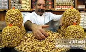 زنگ خطر سالمونلا: «پسته آلوده» و کابوس تازه در صادرات غیرنفتی ایران