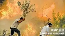 آتش‌ زاگرس؛ شعله‌هایی که جان می‌گیرد، نهال‌هایی که شعارند!
