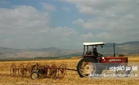 بالاخره قیمت خرید تضمینی گندم مشخص شد! اما آیا گره مشکلات گندمکاران باز می‌شود؟