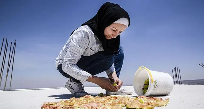 غلبه بر گرسنگی از طریق حمایت اجتماعی، سرمایه‌گذاری و تاب‌آوری
