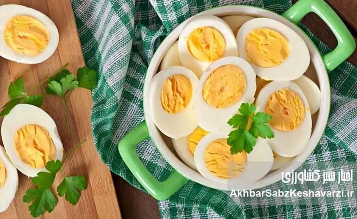 تخم مرغ برای پیشگیری از آلزایمر: آیا این ماده غذایی معجزه میکند؟
