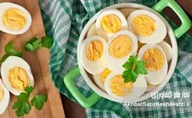 تخم مرغ برای پیشگیری از آلزایمر: آیا این ماده غذایی معجزه می‌کند؟