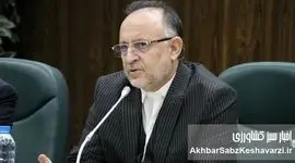 کارخانه چوب و کاغذ مازندران نفس تازه می‌کشد: تثبیت سهمیه ۱۸ مگاواتی؛ گامی به سوی رونق تولید
