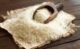 برنج در تله سیاست‌های ارزی؛ بازاری که با حذف ارز ترجیحی هنوز به تعادل نرسیده