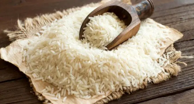 برنج در تله سیاست‌های ارزی؛ بازاری که با حذف ارز ترجیحی هنوز به تعادل نرسیده