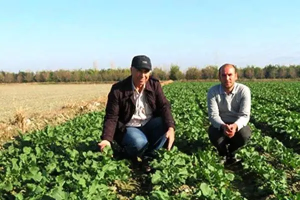 کشاورز پیشرو گلستانی در هجدهمین کنگره ملی زراعت در دانشگاه فردوسی مشهد


