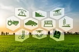 ایجاد ارزش افزوده بالا در شهرهای مولد کشاورزی


