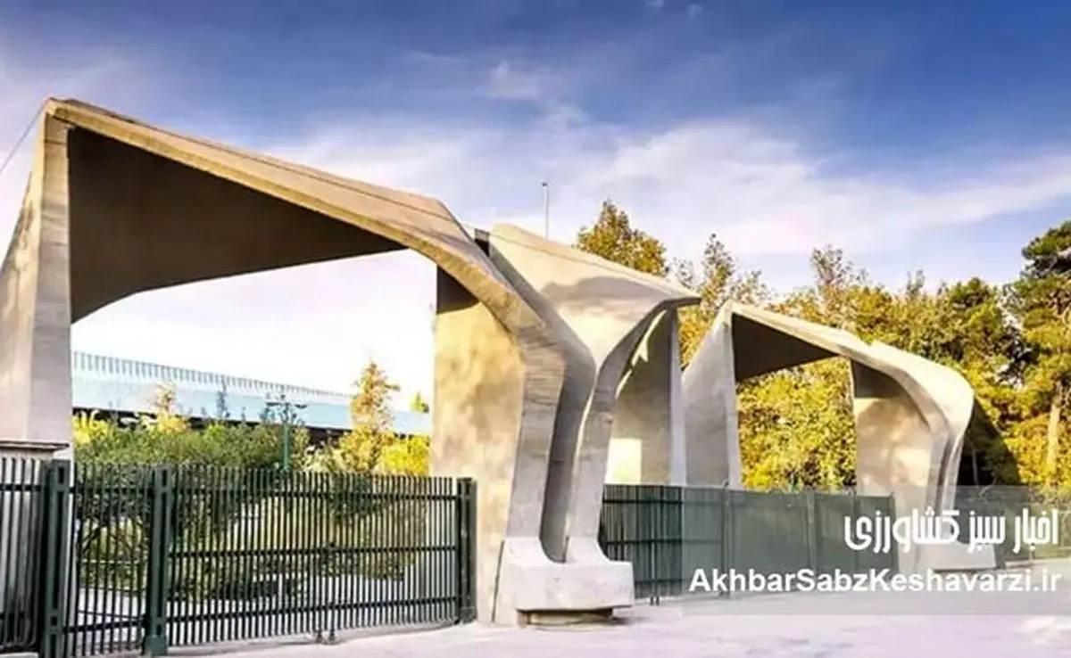 اعتراض کارمندان دانشگاه‌ها به تبعیض حقوقی؛ بیانیه‌ای که خبرساز شد