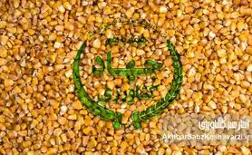 محاکمه وزیر در دادگاه دامداران بی علوفه؛ آقای وزیر امنیت غذایی برای شما اهمیت دارد؟