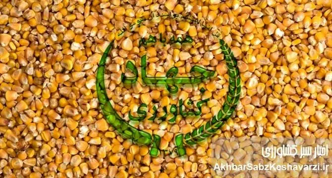 محاکمه وزیر در دادگاه دامداران بی علوفه؛ آقای وزیر امنیت غذایی برای شما اهمیت دارد؟
