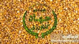 محاکمه وزیر در دادگاه دامداران بی علوفه؛ آقای وزیر امنیت غذایی برای شما اهمیت دارد؟