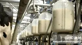 هزینه‌ تمام‌شده لبنیات جای قانون را گرفت؛ مصرف‌کننده قربانی شد