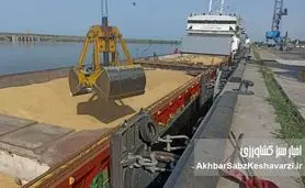 امپراتور واردات نهاده‌ها با کشتی‌های نامرئی، میلیاردها تومان ارز بلعید