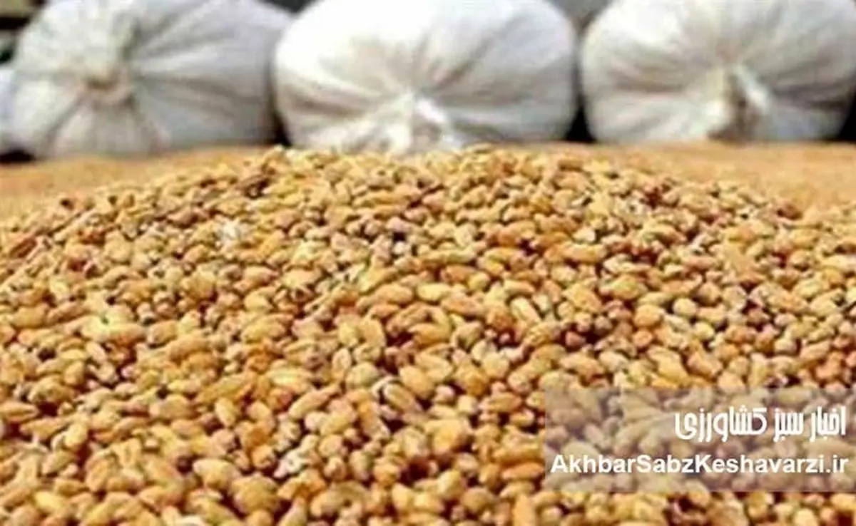 اختفا و امتناع از عرضه ۶۷۰۷ تن نهاده دامی وارداتی جو؛ جریمه ۷۵ میلیارد تومانی