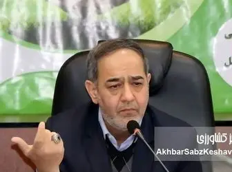 برنج ارزان می‌شود؟ تصمیم جدید دولت برای حذف دلالان از بازار برنج