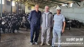 بازدید از مجتمع کشاورزی و دامپروری مدرن دکتر خزاعی+ عکس