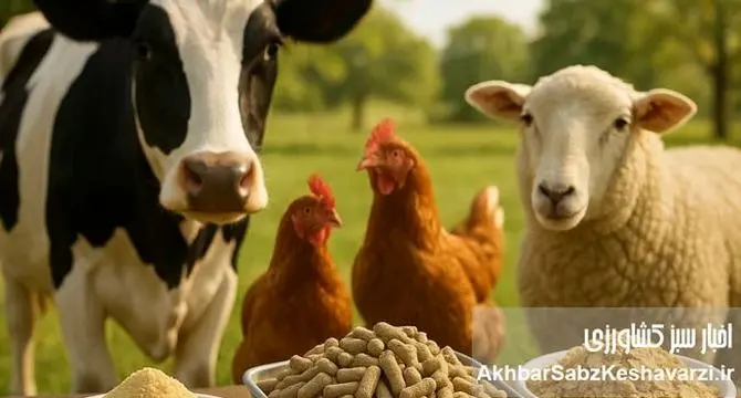  کنجاله سویا و اثرات آن بر تغذیه دام و طیور