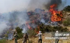 جنگل‌های هیرکانی در آتش بی‌تدبیری و عدم مسئولیت‌پذیری