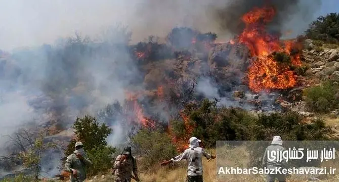 جنگل‌های هیرکانی در آتش بی‌تدبیری و عدم مسئولیت‌پذیری