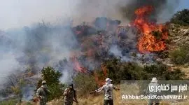 جنگل‌های هیرکانی در آتش بی‌تدبیری و عدم مسئولیت‌پذیری