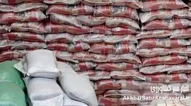 «واردات برنج»: تیغ دولبه‌ای که گلوی کشاورزان شمالی را می‌بُرَد!