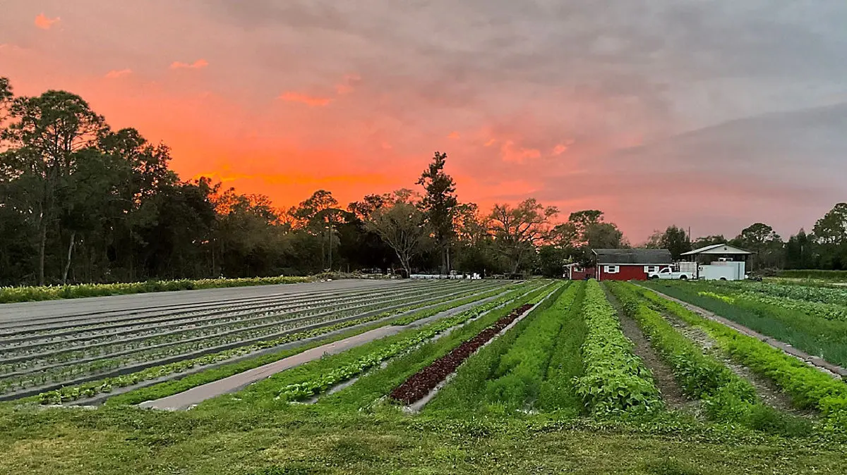 ماندگاری مسافران در شمال؛ رونق بازار خرید پوشاک و لوازم ورزشی

