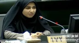 نطق آتشین فلاحی: مسئولان بی‌کفایت، قاتل جوانان ملکشاهی + ویدئو