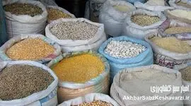 بازار حبوبات در کما؛ اظهارات مسئولان مرهم است یا نمک بر زخم؟