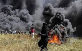  تخریب محیط زیست در جنگ: فاجعه ای خاموش با پیامدهای ماندگار