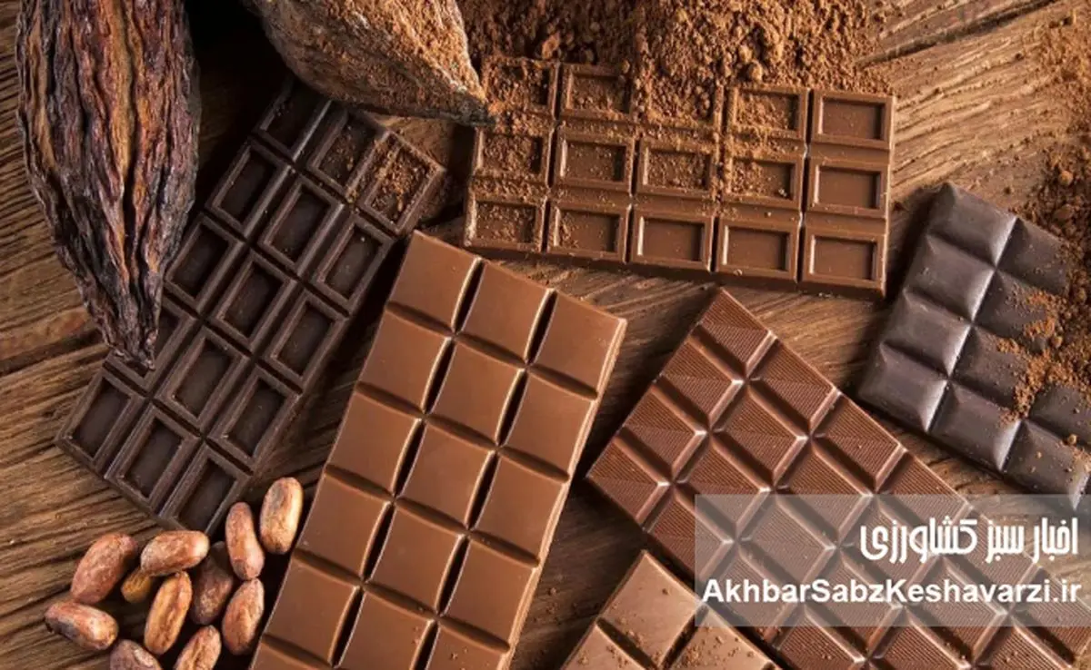 پایتخت کاکائوی جهان کجاست؟ چرا غنا قلب تپنده صنعت شکلات دنیاست