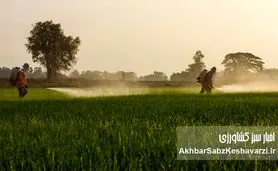 نامه سرگشاده فروشگاه داران به رئیس انجمن تولیدکنندگان کود؛ مزارع ایران تشنه کود هستند؟+ نامه