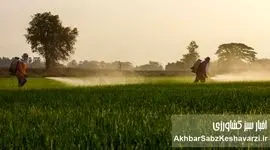 نامه سرگشاده فروشگاه داران به رئیس انجمن تولیدکنندگان کود؛ مزارع ایران تشنه کود هستند؟+ نامه