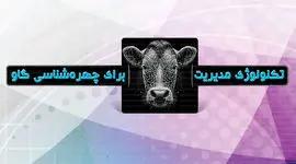 تکنولوژی مدیریت برای چهره‌شناسی گاو

