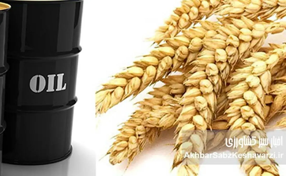 نفت در برابر غذا؟ هشدار مجلس درباره بازتولید فساد ارز ترجیحی