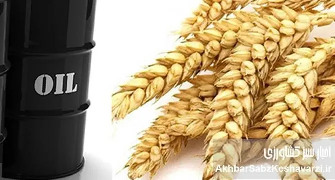 نفت در برابر غذا؟ هشدار مجلس درباره بازتولید فساد ارز ترجیحی