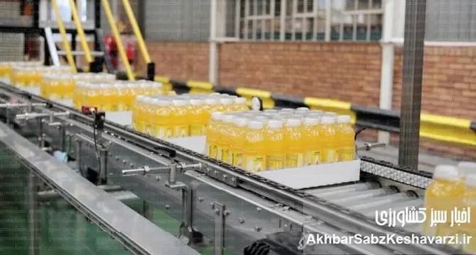 فرصت‌های سوخته: صنایع تبدیلی کشاورزی، منجی اقتصاد ایران
