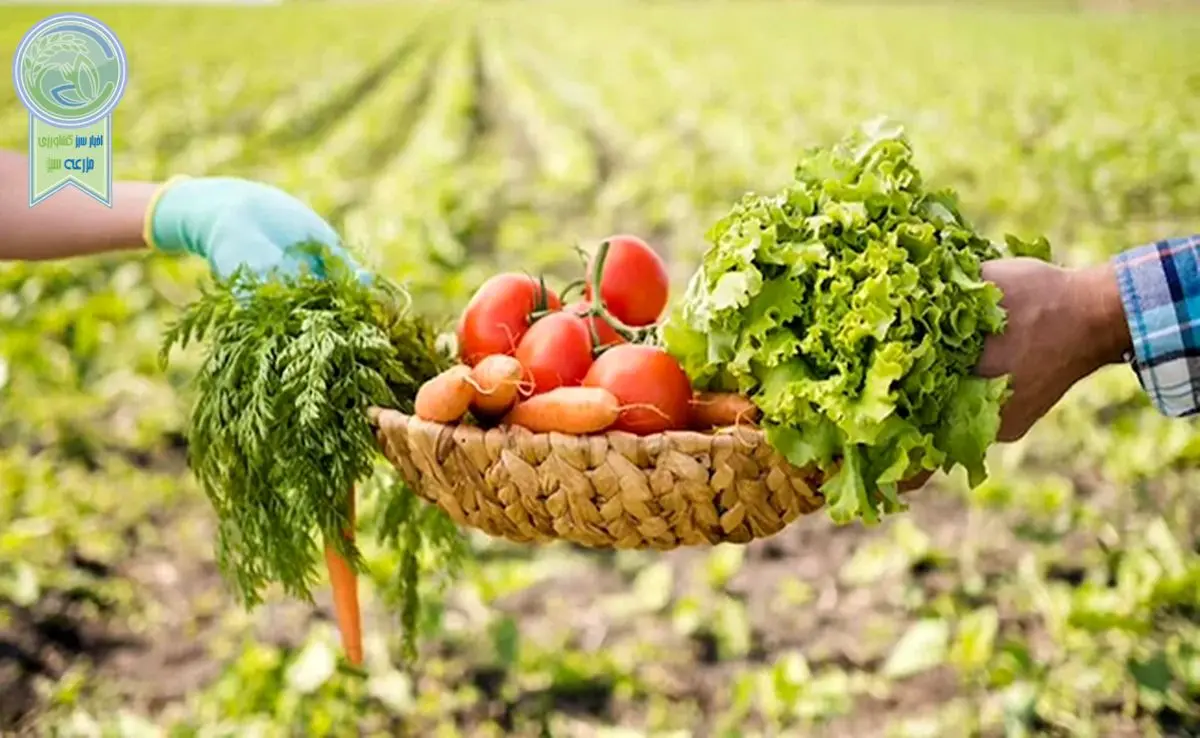 کشاورزی ارگانیک، سرنوشت روستاهای فقیر را تغییر میدهد