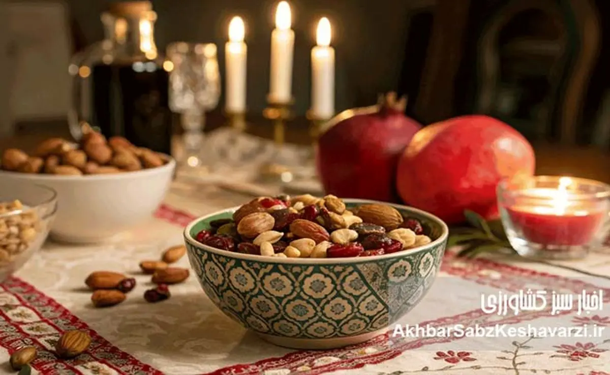 لذت یلدا محو شده است